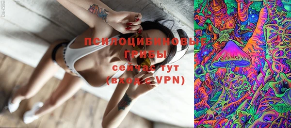 эйфоретик Кулебаки